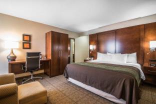 East Haven  Rutland County Hotel | Comfort Inn Rutland - Killington