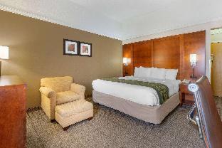 East Haven  Rutland County Hotel | Comfort Inn Rutland - Killington