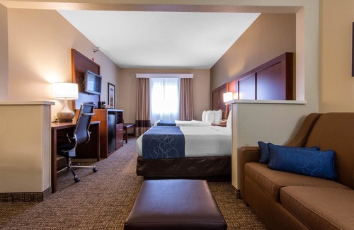 Rochester Hotel | Comfort Suites Rochester Henrietta University Area
