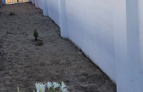 Punta Umbria House | Comfortable Villa on the beachfront