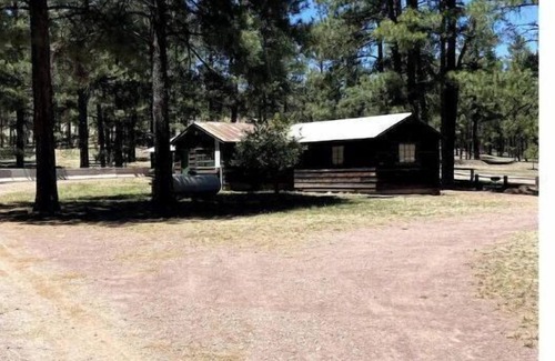 Alpine Cabin | Comfy Cozy Cabin in the tall pines of Alpine AZ #1