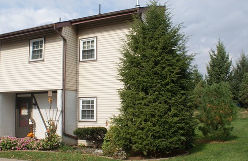 Fertility House | Comfy Townhome nearby Dutch Wonderland, Farms, & Tanger/Rockvale Outlets