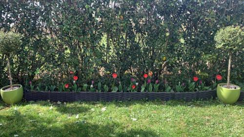 Baziege House | Comme à la maison - Chambre double chez habitant près de Toulouse