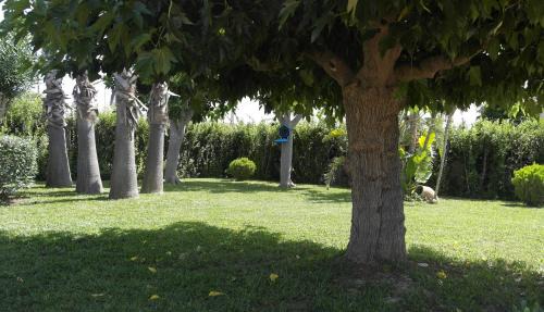 San Lorenzo Apartment | Comodo Appartamento al Piano Terra in Villa a San Lorenzo