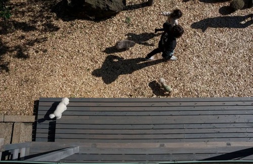 Futo House | Complete with dog run Ocean view vacation rentals/Ito Shizuoka