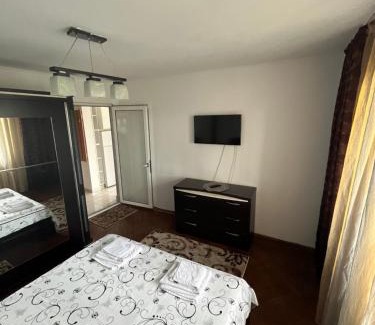 Ramnicu Valcea Apartment | Concept home Valcea