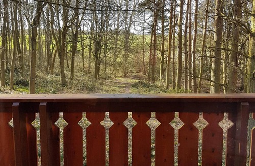 Louth Cabin | Connie Cottage (Log Cabin), Kenwick Park Woods, nr Louth, Lincolnshire