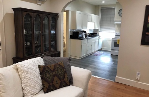 Central Area Apartment | Convention Loft B Salem Oregon TIGER STATION LOFTS, 30 nights stays & takes pets