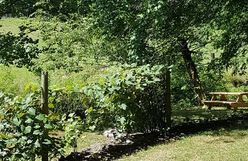 Penrose RV Rental | "Coop-Ahhh Cabana" ! "Glammock" campsite near Dupont State Forest!