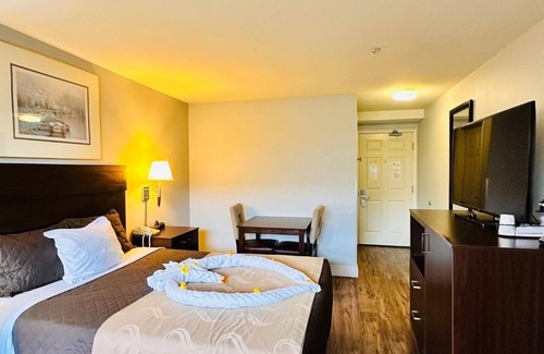 Ocean Shores Hotel | Coratel Inn and Suites By Jasper Ocean Shores - 1 Queen Bed Non Smoking