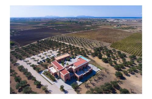 Paceco Resort | Corte Olea Resort