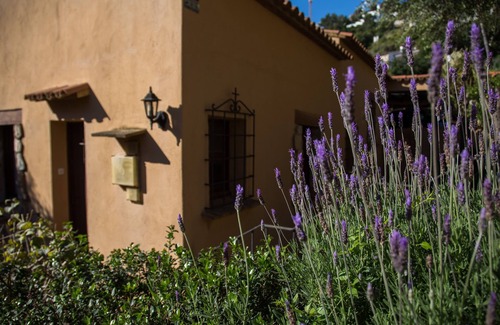 Sa Riera Apartment | Corti - Mori Sa Riera