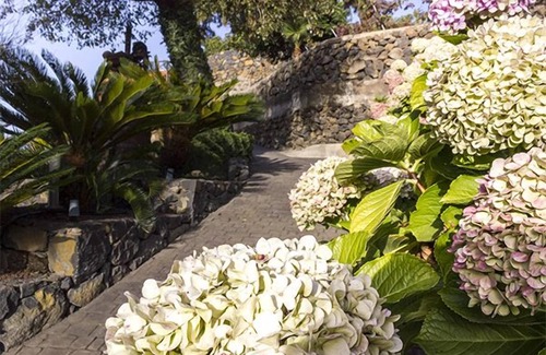 La Orotava Cottage | Cosy and rustic farm house with pool, views, fresh and eggs.