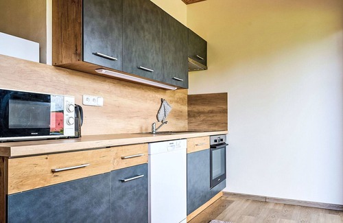 Nova Ves nad Nisou Apartment | Cosy apartment for 4 guests with WIFI, TV, terrace and parking