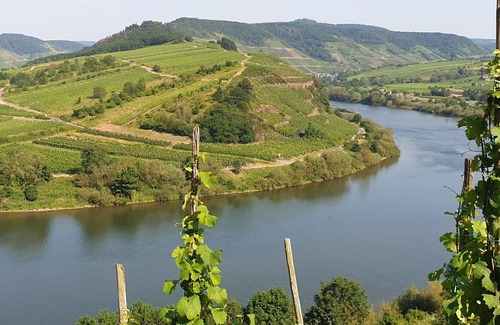 Ediger Apartment | Cosy apartment for 2 guests with WIFI, TV, balcony and parking