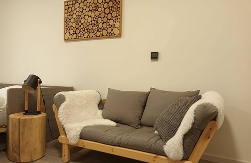 Rokytnice nad Jizerou Apartment | Cosy apartment for 3 people with WIFI, pool, TV, terrace and parking