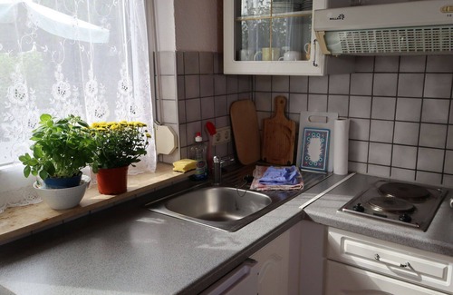 Wesenberg Apartment | Cosy apartment for 4 guests with TV, terrace and pets allowed