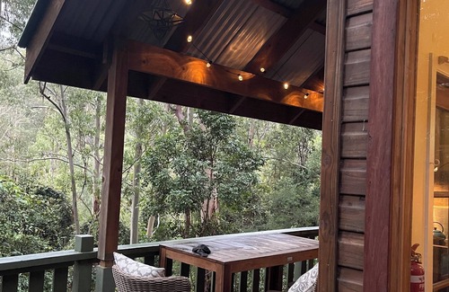 Salisbury Cabin | Cosy Cabin in Ancient Rainforest Barrington Tops