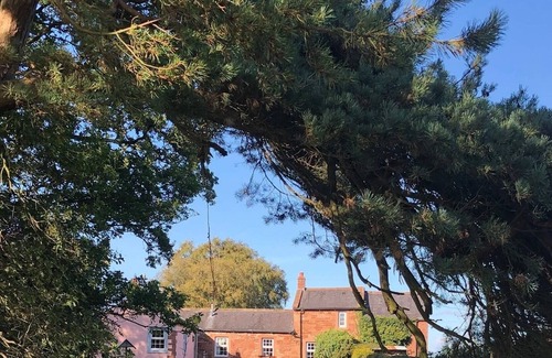 Wing Cottage | Cosy Cottage, Full Of Character Situated Along A Woodland Drive