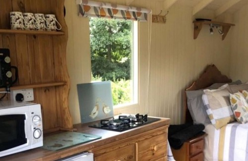 Hadlow Down Cabin | Cosy, peaceful and secluded lakeside shepherds hut.