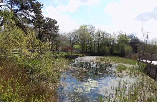 Davidstow Villa | Cosy quiet cottage in Cornwall close to the coast