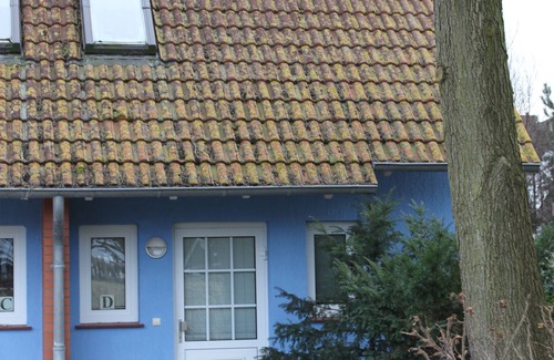 Dierhagen Ost House | Cottage for 4 guests with 70m² in Dierhagen (93640)