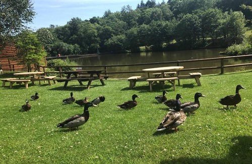 Liverton Cottage | Cottage in Devon near Dartmoor National Park