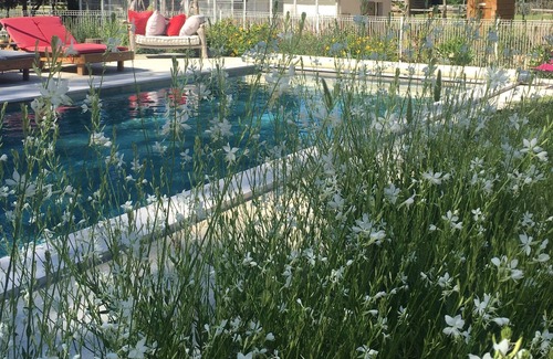 Saliers Other | Cottage in the countryside surrounded by many animals