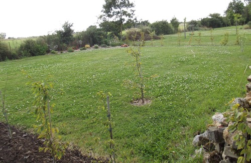 Saint-Prouant House | cottage "straw of yesteryear" 4 to 5 people near the PUY DU FOU in St Prouant