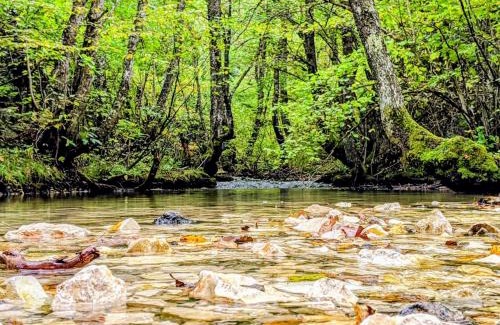 Ambrolauri House | Cottage Tsivtskala in Racha, near Shaori