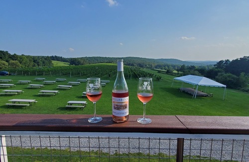 Town of Clermont House | Country Home w/4bdrms (king) & sizable pool in Hudson Valley