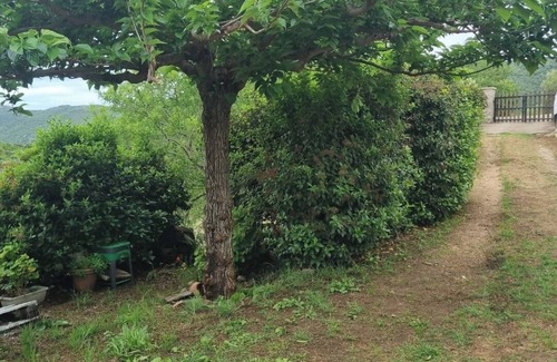 Sartene House | Country house near Lion of Roccapina