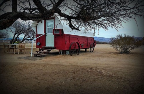 Primm Cabin | Covered Wagon near Las Vegas in the Mojave Desert