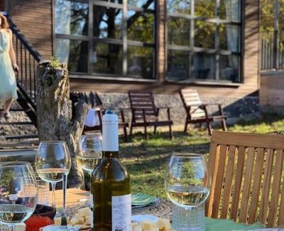 Ambrolauri Villa | Coziest Cabin in Racha , Sakhluka Rachashi