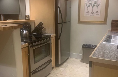Telluride Condo | Cozy 1BR condo, 5 min walk to town center, ski in, walk to chairlift, fireplace!