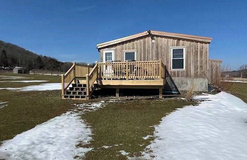 Scott Cabin | Cozy 3-bedroom cabin in charming Homer with WiFi, AC