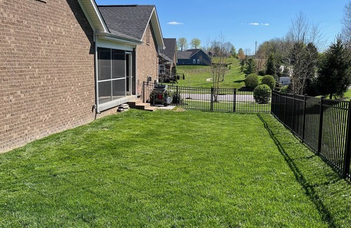 Buechel House | Cozy 3-bedroom house in charming Louisville with a tropical feel