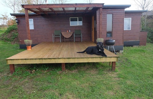 Broadwindsor Cabin | Cozy and peaceful cabin 15 mins from Lyme Regis