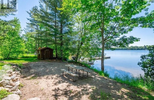 Seguin Cottage | Cozy and Quiet Muskoka retreat on Beautiful Turtle Lake!