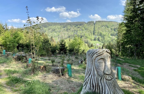 Jablonec nad Jizerou Apartment | Cozy apartment in the heart of the Krkonose Mountains