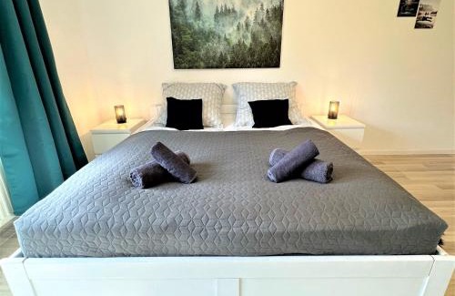 Zwiesel Apartment | COZY Apartment in Bavarian Forest +POOL +SAUNA +NETFLIX