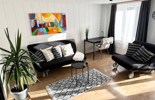 Gachnang Apartment | Cozy apartment in the village