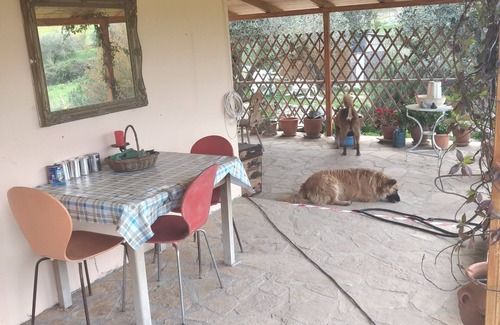 Raches Apartment | Cozy apartment with a huge plot with sea view, dog friendly.
