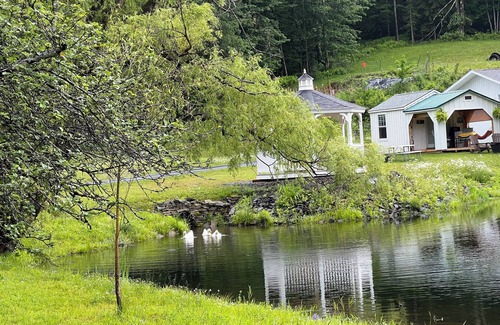 Davenport Cabin | Cozy “bed in a shed” cabin with WiFi and AC in charming East Meredith