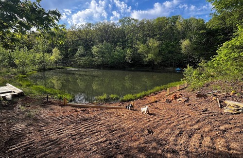 Winslow House | Cozy cabin in our little woodland village - access to pond and meadow