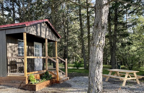 Post Falls Cabin | Cozy cabin in the trees