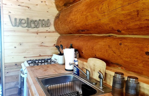 Spearfish Cabin | Cozy Cabin nestled in the Trees!