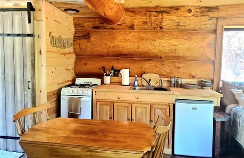 Spearfish Cabin | Cozy Cabin nestled in the Trees!