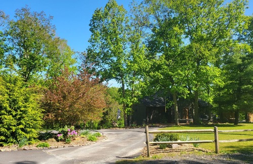 Stroudsburg Cabin | Cozy cabin overlooking beautiful creek and horses - Pet Friendly!