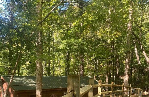 Millers Creek Cabin | Cozy Cabin private retreat, screened in porch, nice deck and firepit